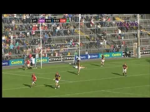 Conor Lehane Cork v Wexford 2015