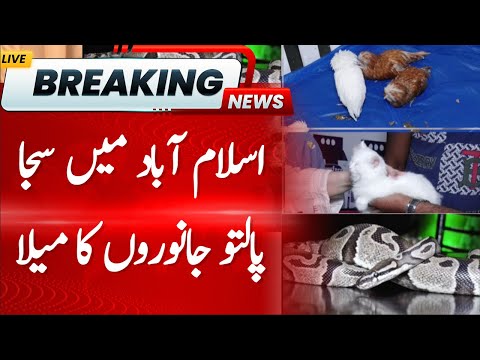 Decorated Pet Fair in Islamabad | Hum News