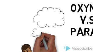 AP English Literature Term Presentation: Oxymoron and Paradox