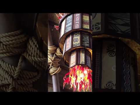 Lady Bug Hidden Mickey Disney's Animal Kingdom Lodge Lobby Chandelier