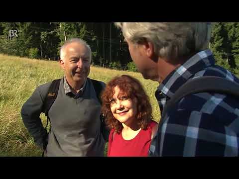 Werner Schmidbauer trifft  Herbert & Schnipsi - Gipfeltreffen 4.09.2018