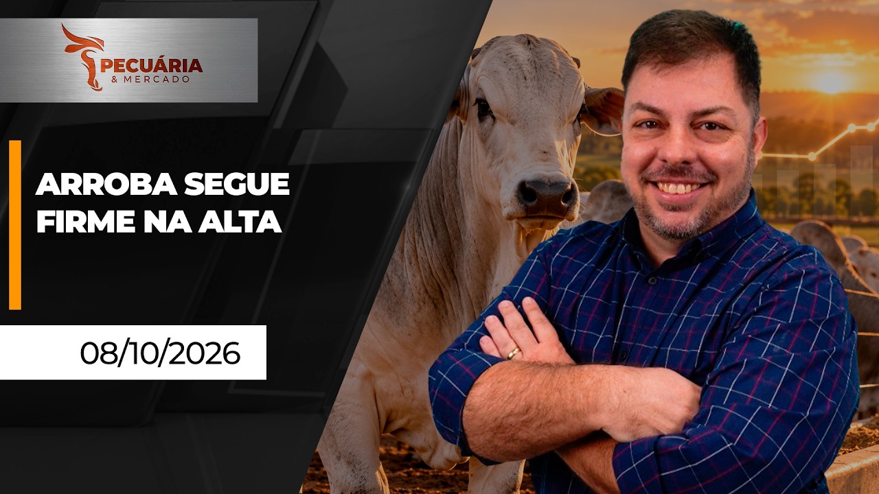 PECUÁRIA E MERCADO - EDIÇÃO 08-10-2026
