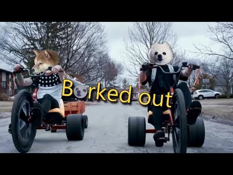 Twenty one Doggos - Borked out