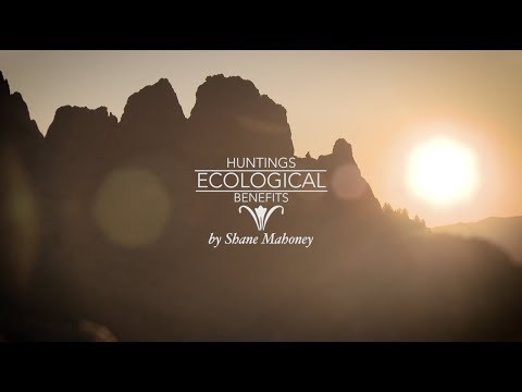 Hunting's Ecological Benefits
