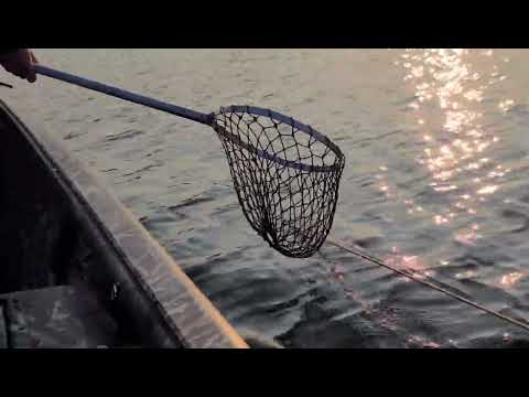 Crabbing on the Chester River!
