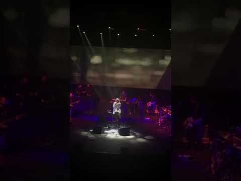 Robi Draco Rosa - Perdido sin ti