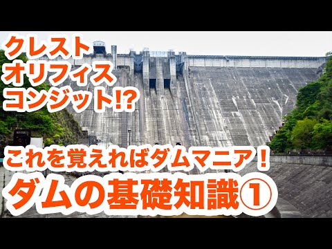 プレイダムについて詳しく解説