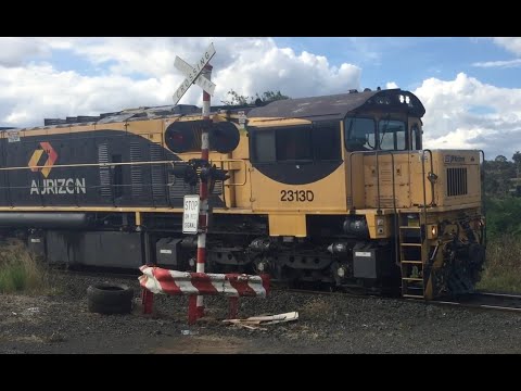 Railway Crossing | QRAIL Crossing No: 736 | Cranley | 14.03.2021 | JRC1865: