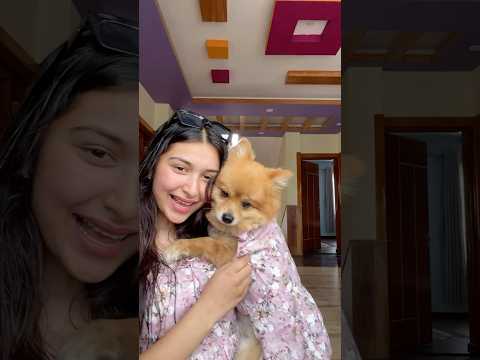 Twinning with the loml🤍 #trending #viralshorts #shorts #love #bollywood #pets  #dogs #pomeranian