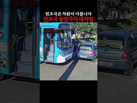 천조국 불법주차 대처법 ㅋㅋ #블랙박스 #버스