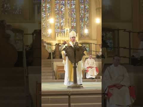 Predigt in einer Minute - Erzbischof Bentz zur Priesterweihe