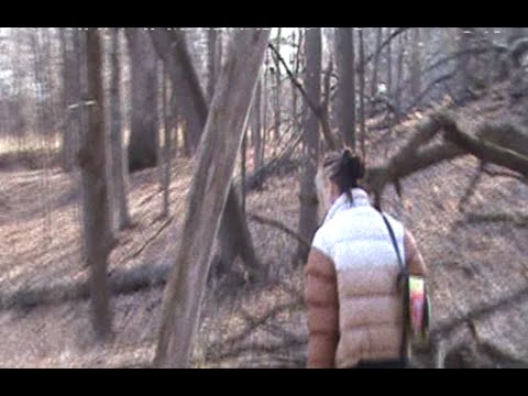 guardin x skele x sewerperson x lil peep type beat  - "Cache" (prod. mxtthxw x yunny goldz)