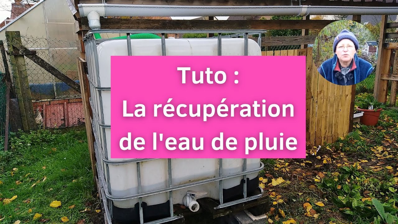 Récupérer l’eau de pluie l’amende insolite que vous risquez — free download