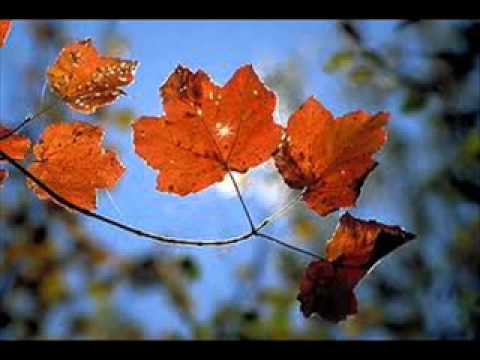 Autumn Leaves - Dj Sleeptalker