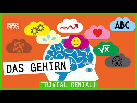 Das Gehirn: Was steuert was? | Trivial Genial | DAK-Gesundheit