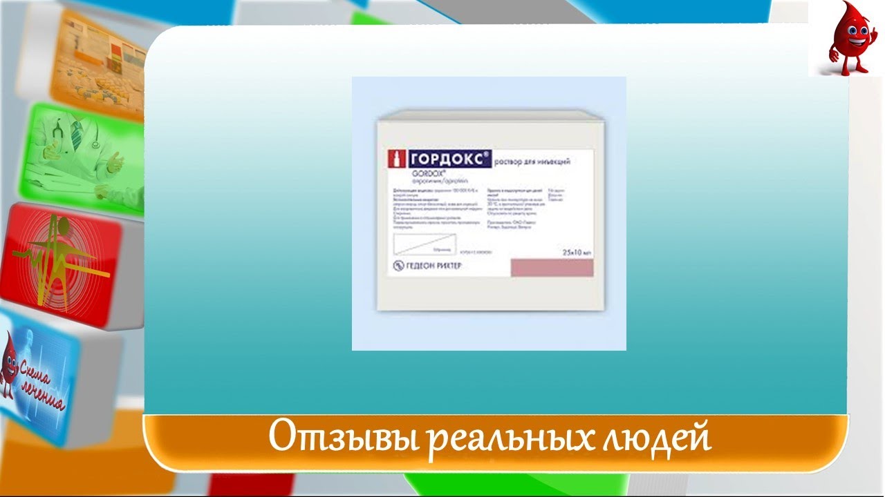 Гордокс отзывы
