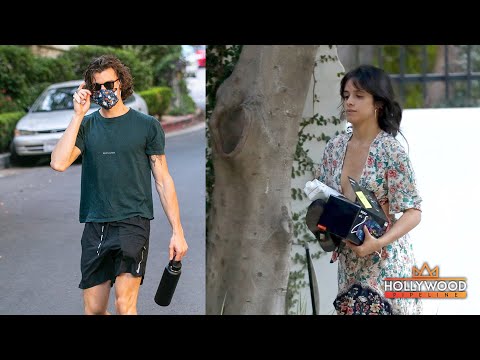 Shawn Mendes and Camila Cabello Back Together Ahead of the '2020 Billboard Music Awards'