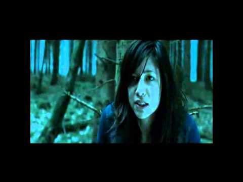 Trailer-Vorschau: Shrooms - Im Rausch des Todes