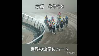 #松本大輝#アルゼンチン共和国杯 #ミステリー #ロイヤルファミリー