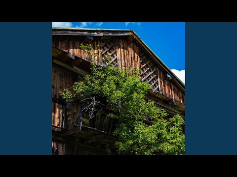 video frame placeholder