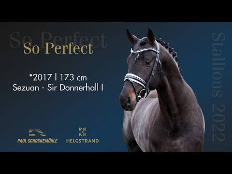 So Perfect - Dressurkollektion 2022 Schockemöhle & Helgstrand (DEU)