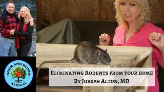 Getting Rid of Rats or Mice from Your Home: Vanquish These Vermin!