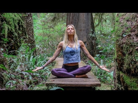 Beautiful Beginner Yoga ♥ Hatha Class For Everyone | Tofino