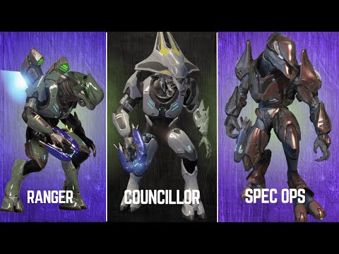 EVERY SINGLE covenant elite rank EXPLAINED!