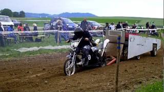 preview picture of video 'Bike Pull Halingen 2011'