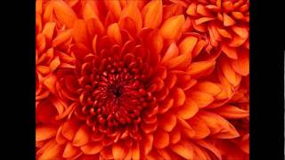 So Much in Love by All-4-One--High Quality