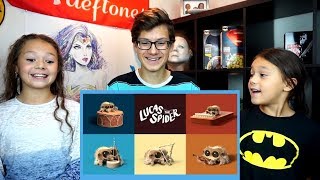 Lucas The Spider - One Man Band REACTION