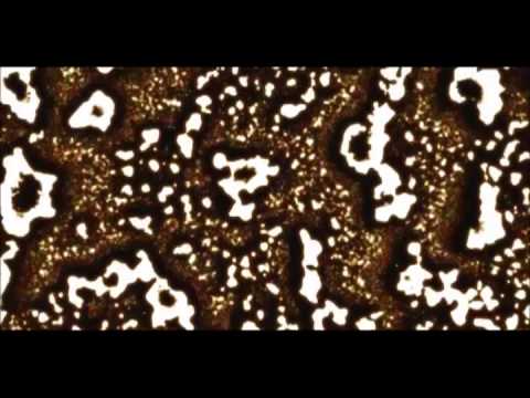 Aldo Haydar - Fiction - Victoria Hotel (promo 2007)