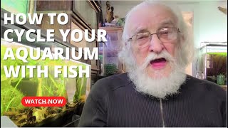 HOW TO  #CYCLE YOUR AQUARIUM WITH FISH