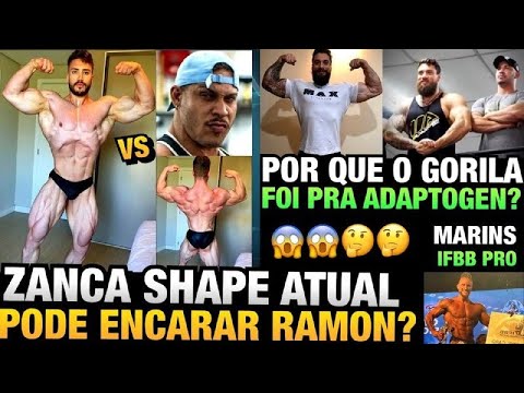 ZANCA MOSTRA SHAPE ATUAL + BATE DE FRENTE COM O RAMON ? - POR QUE GORILA ESCOLHEU ADAPTOGEN ? E MAIS