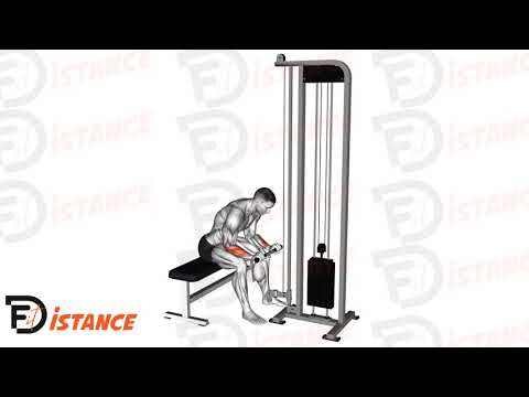 Exercice Flexion des poignets barre à la poulie basse