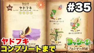 ヨッシーとフカシギの図鑑 #35 ヤドフキ 図鑑コンプリートまで【※概要欄解説あり 実況なし プレイ動画 Yoshi and the Mysterious Book】