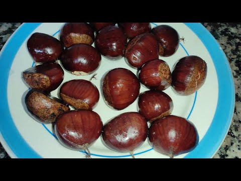 Cómo cocinar CASTAÑAS 🌰