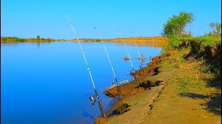 Устройство донки с кормушкой на сазана карпа