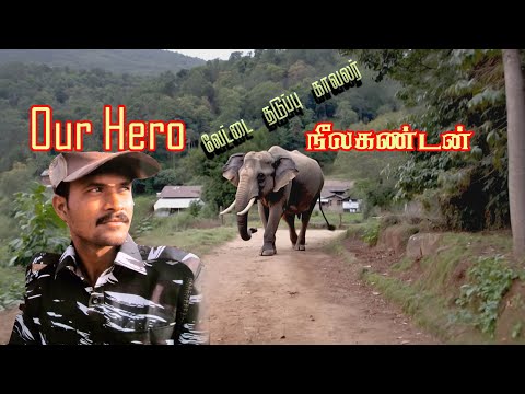 Forest Guard Neelakandan s Brave Act | உயிரைப் பணயம் வைத்து பொதுமக்கள் உயிரை காத்த ஓசூர் வீரன்!