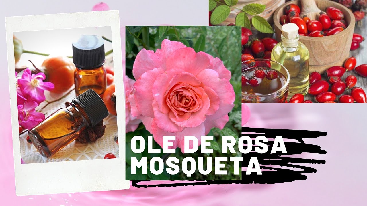 COMO FAZER ÓLEO DE ROSA MOSQUETA/ RUGAS MANCHAS