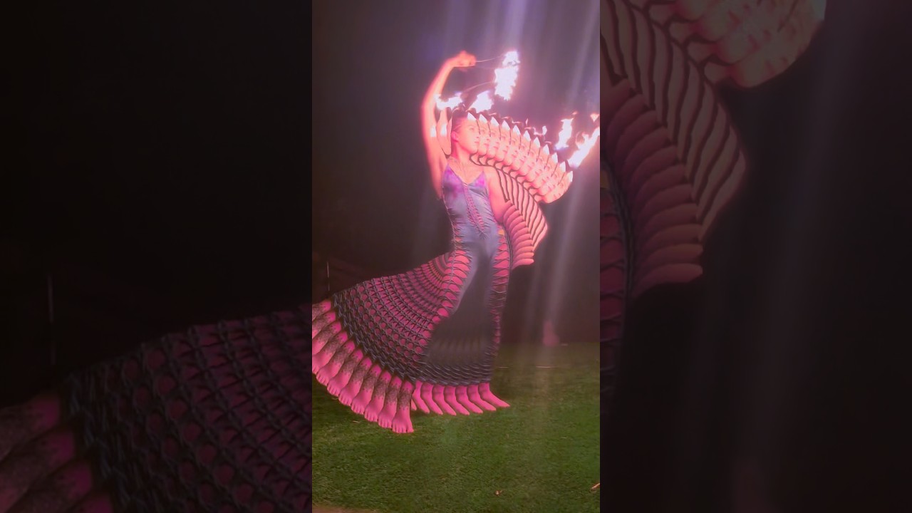 Promotional video thumbnail 2 for AYA