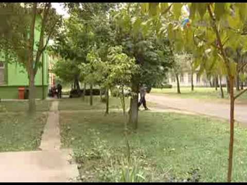 Spitalul de psihiatrie Gătaia era celebru în anii comunismului.  #VestExclusiv @TVRTM