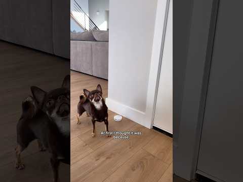 I’m so emotional over this🥹❤️