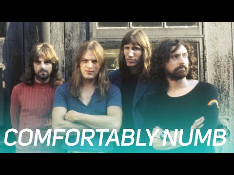 Pink Floyd - Comfortably Numb solo [1 HOUR]