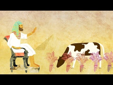 Parashat Miketz 5786 (20 December 2025 / 30 Kislev 5786)