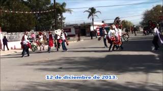 preview picture of video 'Danza del Ejido Raúl Madero de Nuevo Ideal, Dgo.'