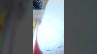 Pampers baby-dry size 4 56 couches