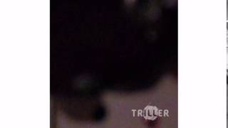 Does It Really Matter (Bonus Track) - Theory of a Deadman - Triller