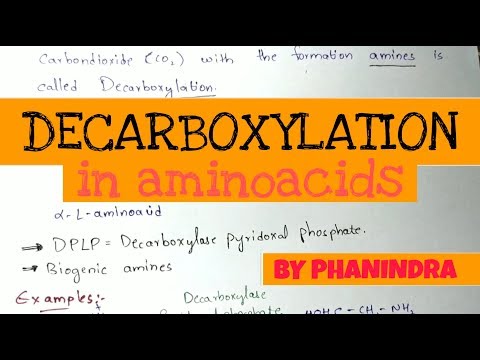 Beta oxidation of Fatty acids Energetics By phanindra