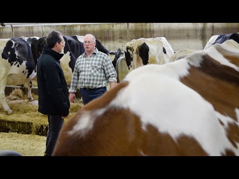 , title : 'Un vaccin au secours des vaches laitières'